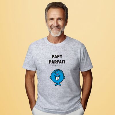 CAMISETA GRIS FELIZ PERFECTA