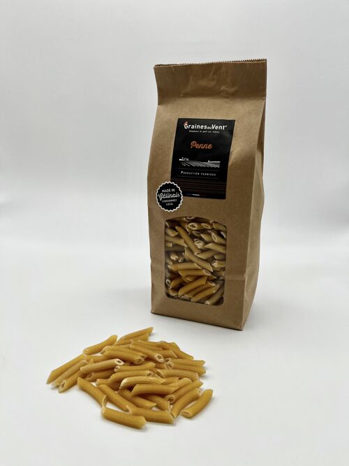 Penne nature 500g