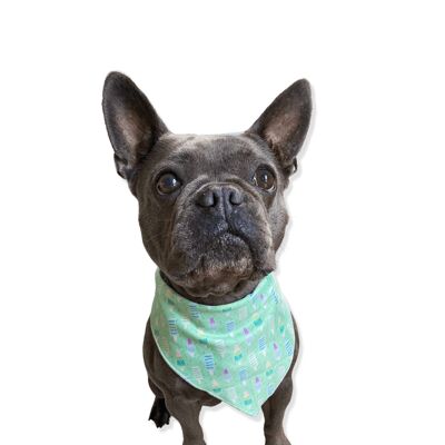 Mint Freeze - Dog Bandana