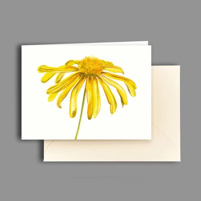 Greeting card gold marguerite
