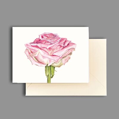 Greeting card rose