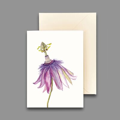 Greeting card passion flower