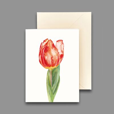 Greeting card tulip