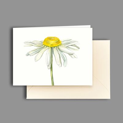 Greeting card marguerite