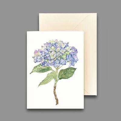 Greeting card hydrangea blue
