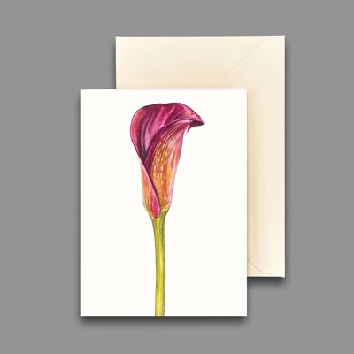 Greeting card calla