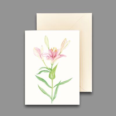 Greeting card lily