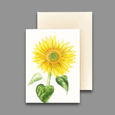 Greeting card sunflower