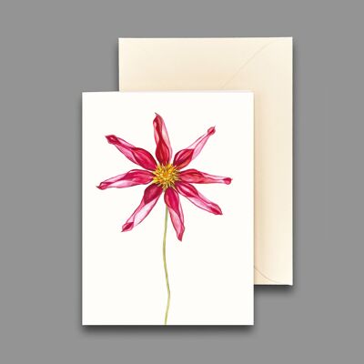 Greeting card star-shaped dahlia