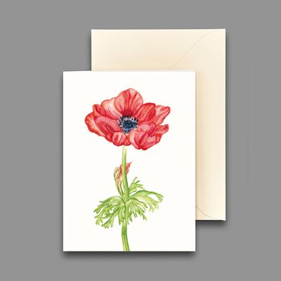 Greeting card anemone