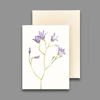 Biglietto di auguri campanula