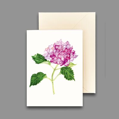 Carte de voeux hortensia rose