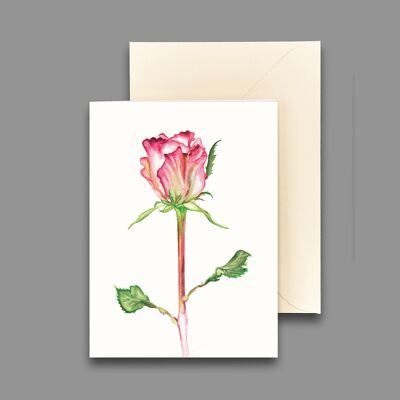 Greeting card rose espérance