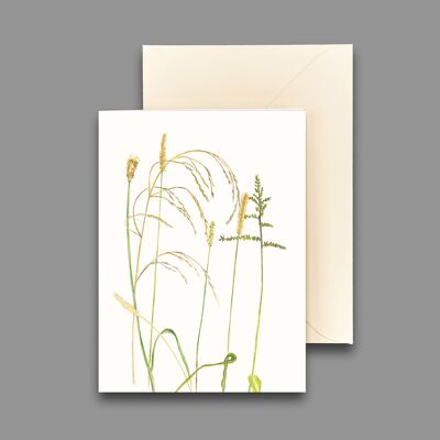 Greeting card grasses