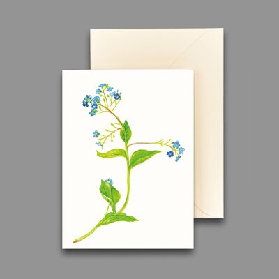 Carte de voeux Myosotis