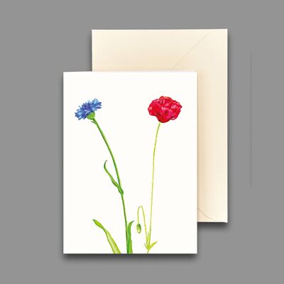 Greeting card cornflower and poppy