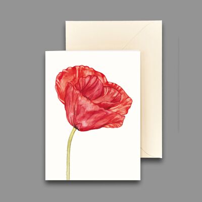 Greeting card corn poppy