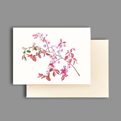 Tarjeta de felicitación rama de flor de cerezo