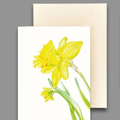 Greeting card daffodils