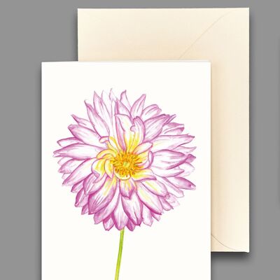 Greeting card dahlia rose
