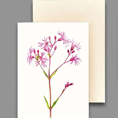 Greeting card cuckoo carnation