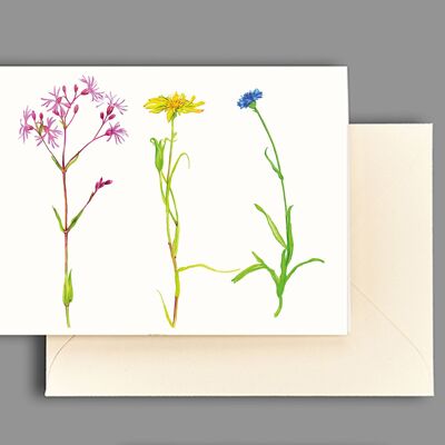 Greeting card at the edge of the field