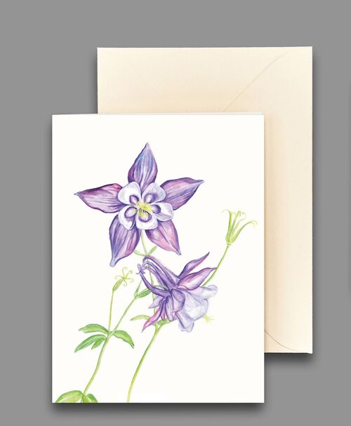 Grußkarte Akelei lila