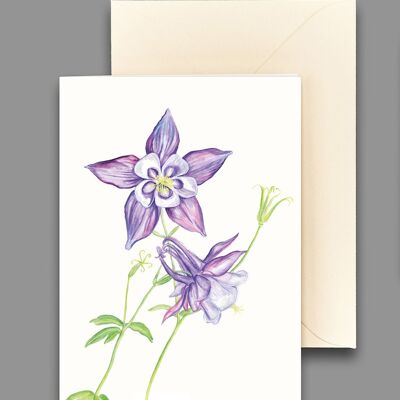 Grußkarte Akelei lila
