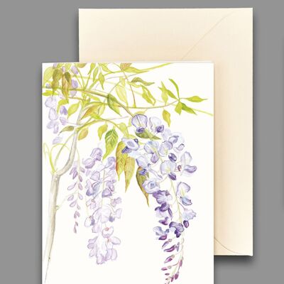 Greeting card wisteria