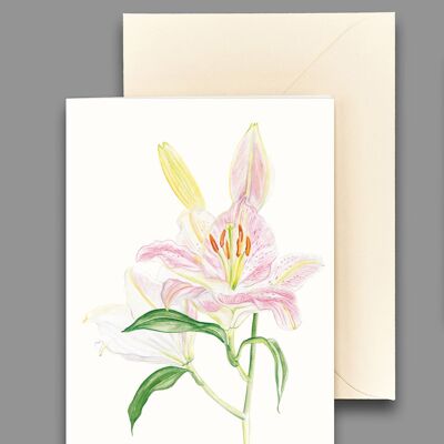 Greeting card royal lily