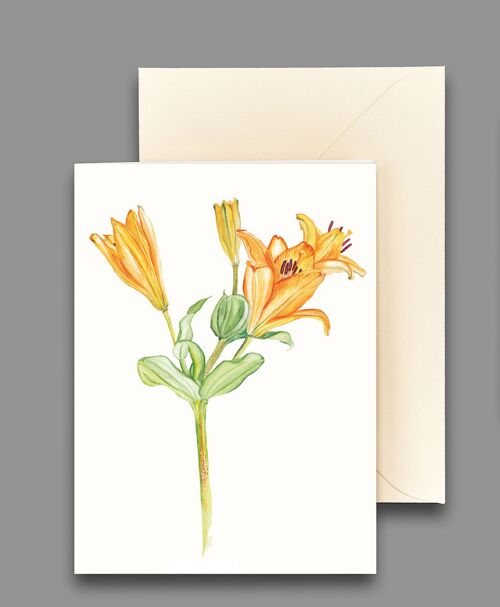 Grußkarte Taglilie orange