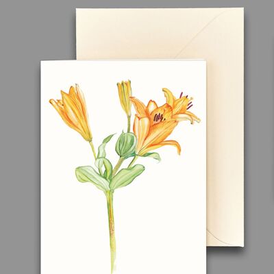Greeting card daylily orange