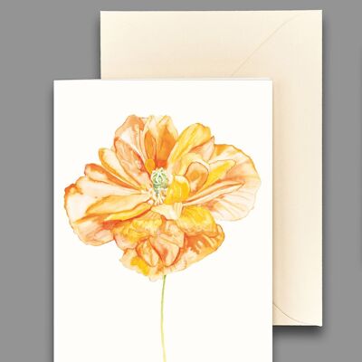 Greeting card poppy orange