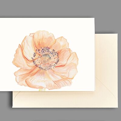 Carte de voeux fleur d'anémone