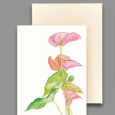 Greeting card Anturie pink