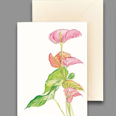 Greeting card Anturie pink