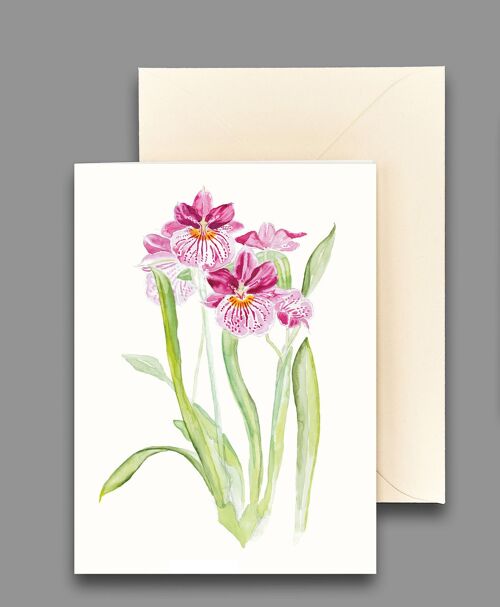 Grußkarte Orchidee purpurrot
