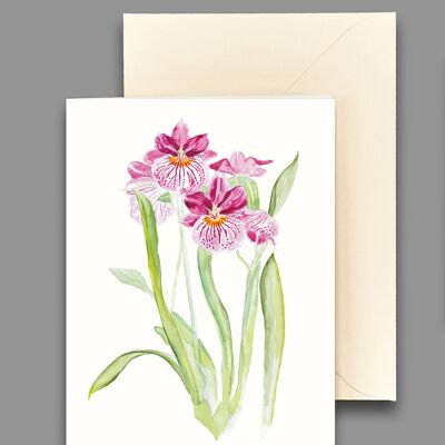 Tarjeta de felicitación orquídea violeta