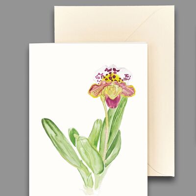 Greeting card Frauenschuh