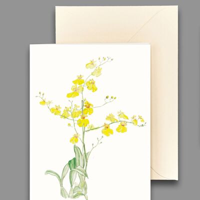Greeting card tiger orchid