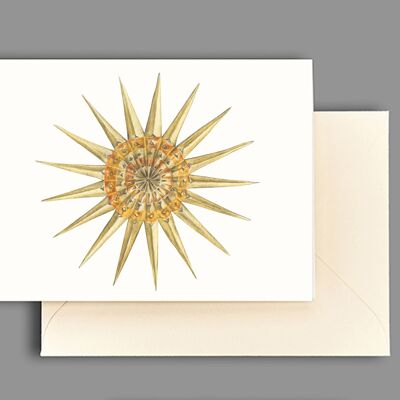 Tarjeta de felicitación flor de pascua de oro