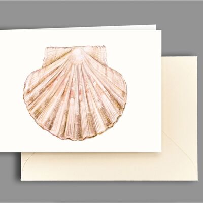 Greeting card Large pilgrim shell