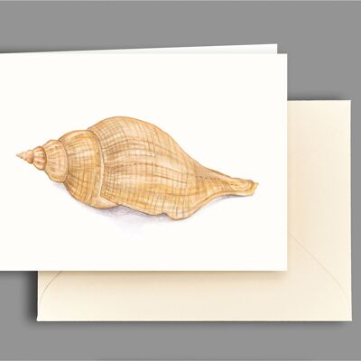 Banded snail greeting card