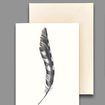 Greeting card great spotted woodpecker feather