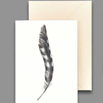 Greeting card great spotted woodpecker feather