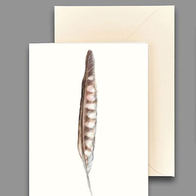 Greeting card hawk feather
