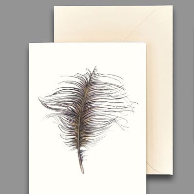 Greeting card emu feather