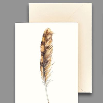 Greeting card Short-eared Owl Feather