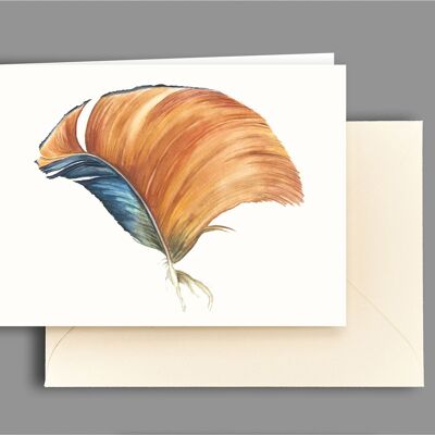 Greeting card mandarin duck feather