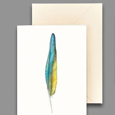 Greeting card macaw feather